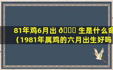 81年鸡6月出 🐒 生是什么命（1981年属鸡的六月出生好吗）